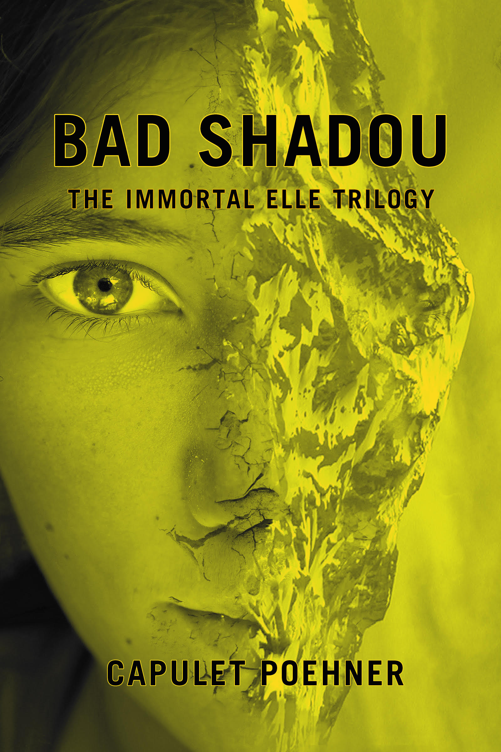 Bad Shadou Book Cover